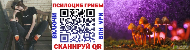 Галлюциногенные грибы Cubensis  закладка  Городец 